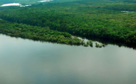 Amazônia em pauta também no Ministério Público (Foto: Divulgação)