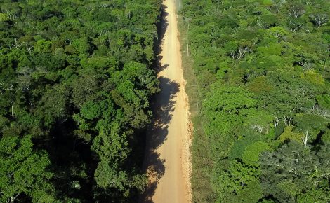 Vista aérea da BR-319 no Km 272 próximo  comunidade Igapó-Açu, no Amazonas. (Foto: Michael Dantas)