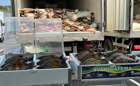 Ação solidária ADS - Governo do Amazonas faz doação de peixes na Semana santa