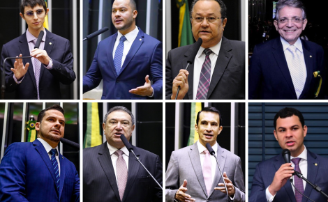 Comissões na Câmara: Parlamento amazonense na Câmara dos Deputados - Foto: Montagem RT1
