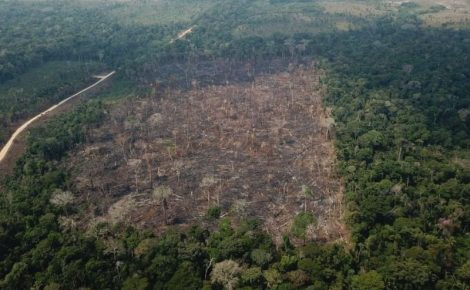 Forças Armadas atuam no desmatamento