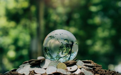 crystal earth on coin with nature background.the concept of savi