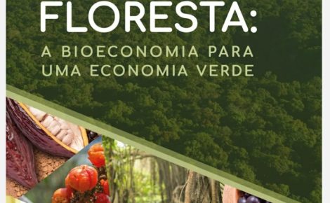 O livro, publicado pela Atena Editora, traz destaques de trabalhos sobre Bioeconomia na Amazônia (Foto: Divulgação)