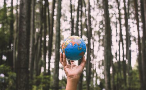 CEOs reforçam compromissos ESG, mas execução ainda é desafio global