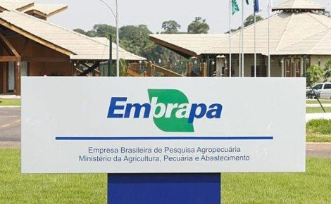 Concurso da Embrapa deve oferecer 1.027 vagas (Foto: Divulgação)