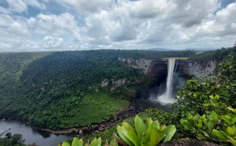 Os recursos naturais de Essequibo, região em litígio entre Venezuela e Guiana, vão além do petróleo, gás e minérios. (Foto: Martín Silva/ AFP)