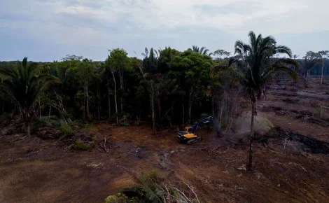INPE introduz IA para otimizar o monitoramento de desmatamento e queimadas. (Foto: Nilmar Lage / Greenpeace)
