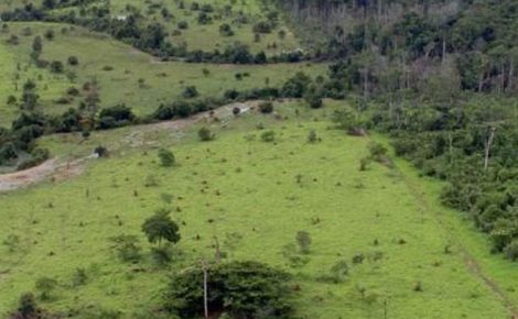 A declaração deve ser entregue até as 23h59min59s. O envio começou às 8h de 14 de agosto. (Foto: MMA/Arquivo)