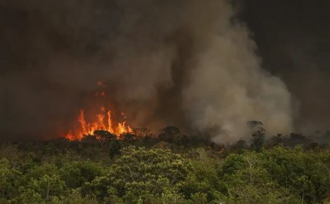 Incêndio florestal no Brasil (Foto: Marcelo Camargo / Agência Brasil)
