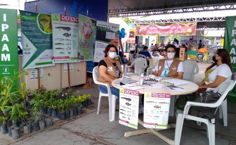 ipaam licenciamento ambiental
