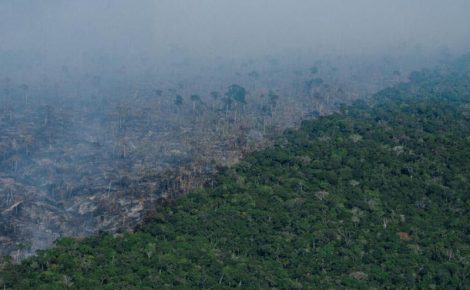 Desmatamento no Amazonas aumentou 50% em janeiro de 2025, atingindo 3 km² de área desmatada. (Foto: reprodução)