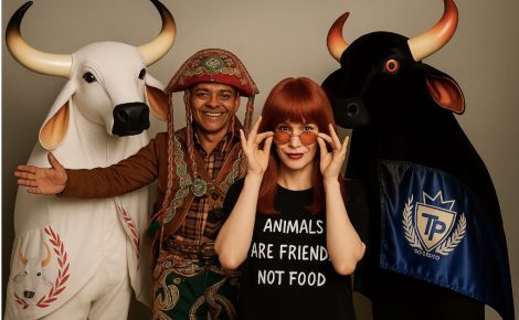 Destaques da agenda cultural de Manaus neste fim de semana: o folclore dos Touros de Barreirinha, o musical de Rita Lee e a riqueza do Festival Folclórico