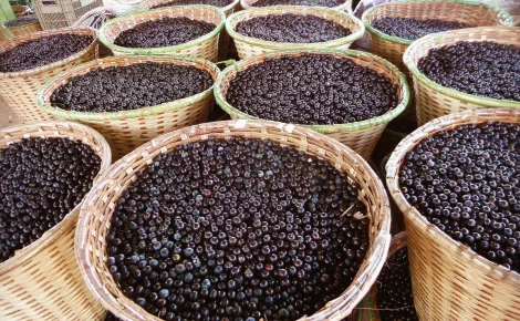 Paneiros_com_acai_no_porto_de_Igarape-Miri-scaled.jpg