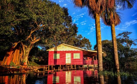 O banco de imagens com mais de 700 fotos da Amazônia (Fotos: Jefferson Rodrigues e Nathalie Brasil)