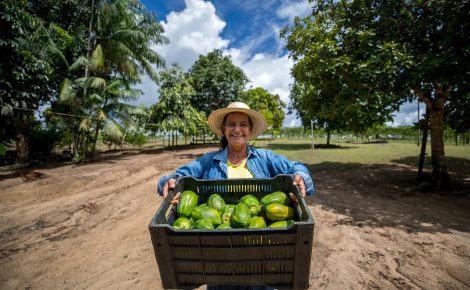 Pronaf investimentos em agricultura familiar crescem 21,49% no amazonas