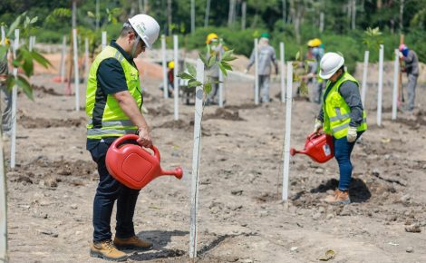 O trabalho de reflorestamento que será desenvolvido nas áreas de intervenção do Prosamin+ iniciou pela comunidade Manaus 2000, na zona sul, com o plantio de 200 mudas de seringueira.