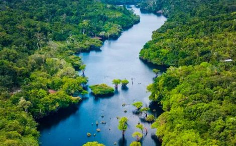 O Amazonas possui 42 unidades de conservação estaduais, sendo 8 de proteção integral e 34 de uso sustentável