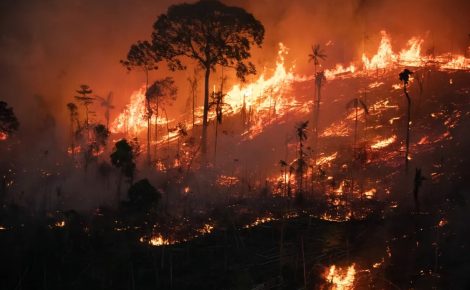 Marca foi atingida ao final deste domingo, 22 de setembro (Foto: Nilmar Lage/Greenpeace/Divulgação)