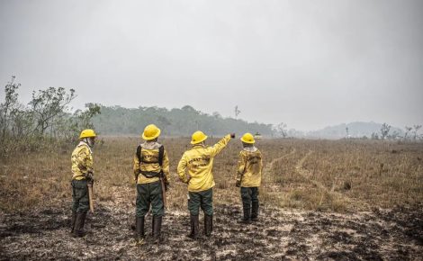 Ministro também flexibilizou a regra para a manutenção e a contratação de brigadistas temporários (Foto: Mayangdi Inzaulgarat/Ibama)
