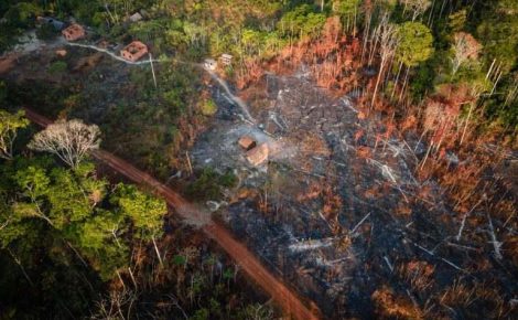 multa ambiental por queimadas na amazônia