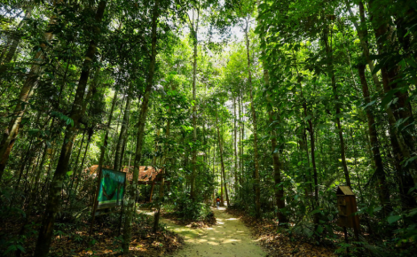 O Bolsa Verde tem caráter socioeconômico e ambiental, com transferência de renda para estimular qualidade de vida, proteção dos recursos naturais e desenvolvimento sustentável (Foto: Arthur Castro / Secom)