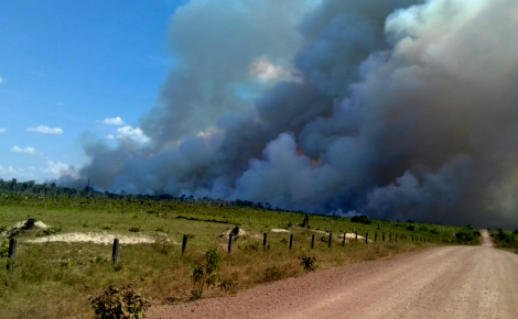 Queimada na floresta registrada no município de Apuí, no Sul do Amazonas