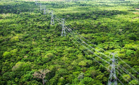 Vista aérea da linha de transmissão de energia produzida em Tucuruí, no Pará