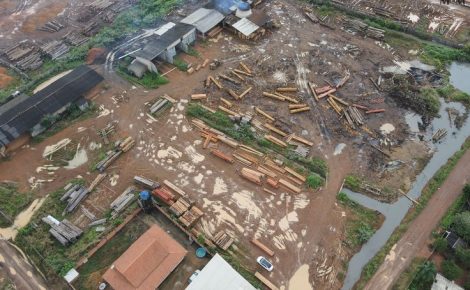 Madeira ilegal apreendida em serraria de Rondônia