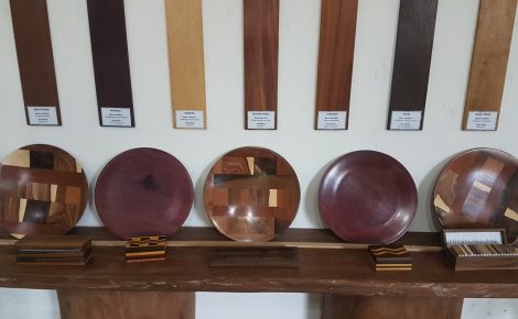 Pratos artesanais feitos em Madeiras por artesãos de Novo Airão