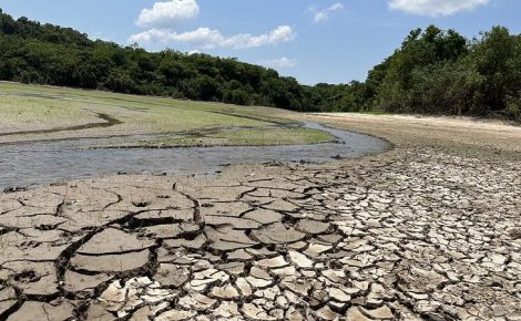 Plano Estadual de Mudanças Climáticas está sendo discutido pelo Governo do Amazonas. (Foto: Agência Bori)