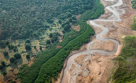Seca recorde de rios da Amazônia