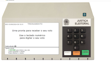 Simulador do TSE para as eleições municipais (Foto: Divulgação/TSE)
