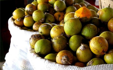 O tucumã-do-amazonas é escoado tanto para os mercados da capital quanto para os demais municípios do Estado- (Foto: Ada lima/Fapeam)