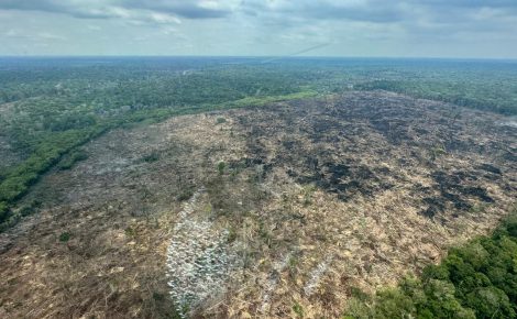 Operação em combate a queimadas no sul do Amazonas. Foto: Divulgação PF