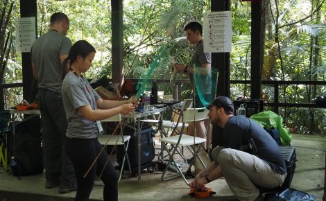 Equipes de cientistas de seis países participam de competição para mapear a biodiversidade da Amazônia