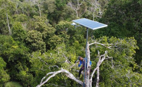 O projeto é uma solução tecnológica que monitora a biodiversidade com uso da IA (Foto: Divulgação)