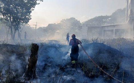Em 24 horas, Corpo de Bombeiros combate 18 incêndios em áreas de vegetação em Manaus (Foto: Divulgação / Corpo de Bombeiros)