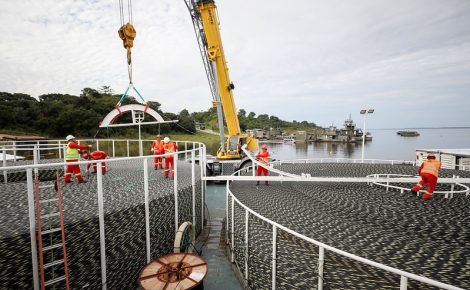 Conectividade cresce na Amazônia com fibra óptica e apoio da UEA (Foto: Alex Pazuello)