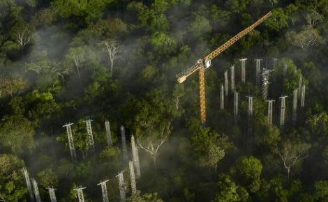 Foto: Reprodução/Folha de São Paulo