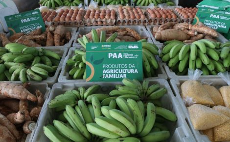 produtores rurais amazonas