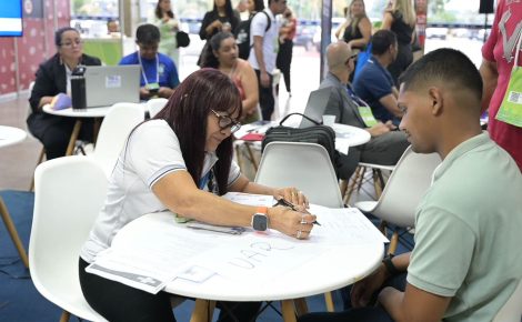 sebrae mei