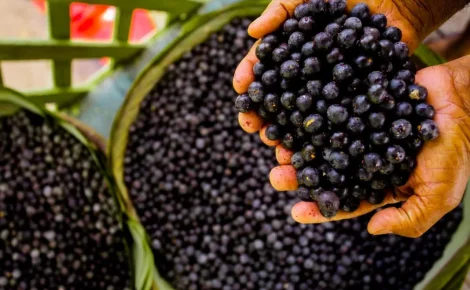 acai conheca a versatilidade do alimento 1 1152x768