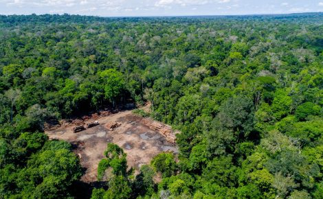 A Amazônia abriga 337 TIs oficialmente reconhecidas, cobrindo mais de 107,5 milhões de hectares.