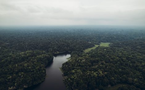 A redução da capacidade natural de absorção de CO₂ é um sinal alarmante da crise climática.  (Foto: reprodução).