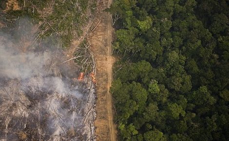 Queimadas aumentaram 30%