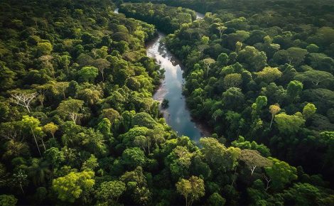 CNJ promove debates para discutir desafios atuais da Amazônia