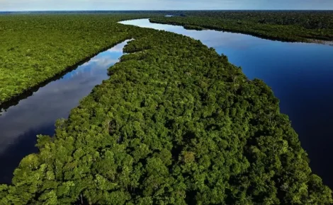 Foto: Divulgação/ Imagem de Drone/Amazônia