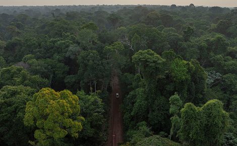 amazonia-joao-marcos-rosa