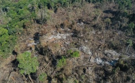 Amazônia Legal área degradada