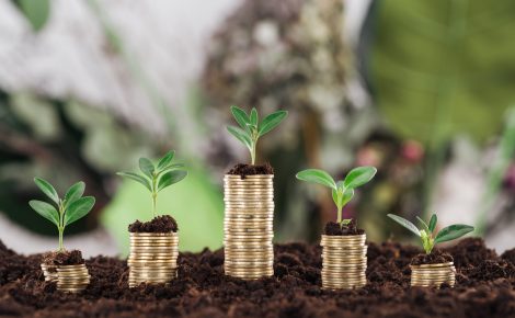 arranged golden coins with green leaves and soil, financial growth concept